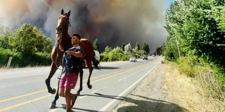 Voraz incendio en El Bolsón: evacuaciones y fuego cerca de una planta de gas