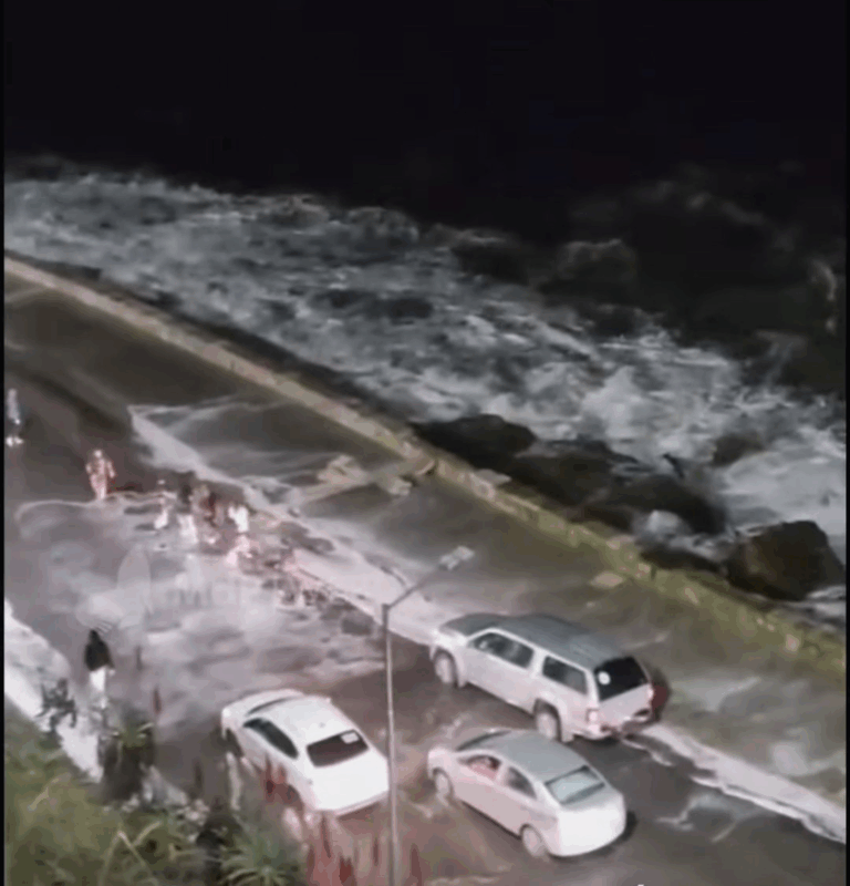Sudestada en Mar del Plata provocó olas de dos metros de altura