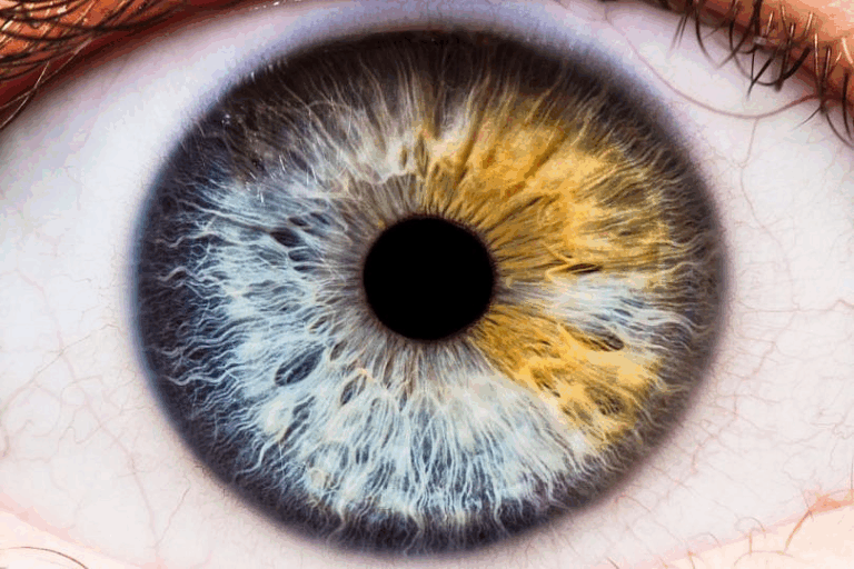 Orgullo argentino: Cirujanos argentinos fueron premiados internacionalmente por la restauración del ojo de un paciente
